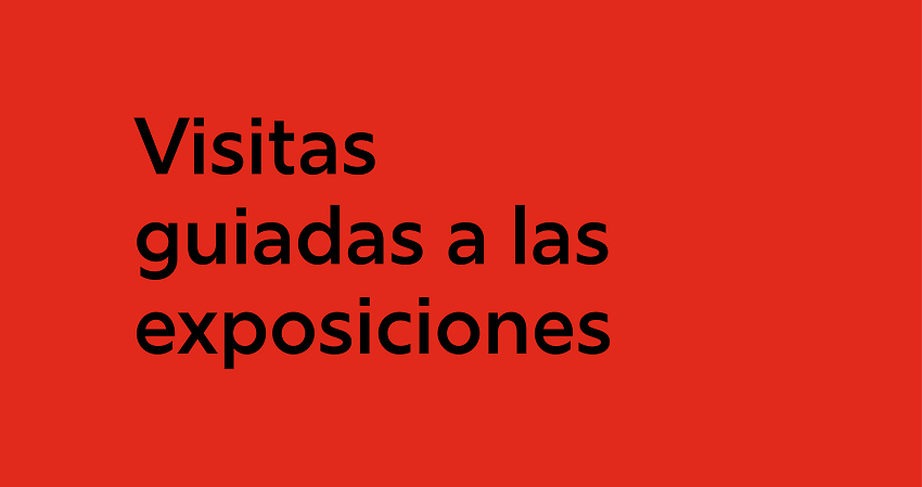 Visitas guiadas a las exposiciones