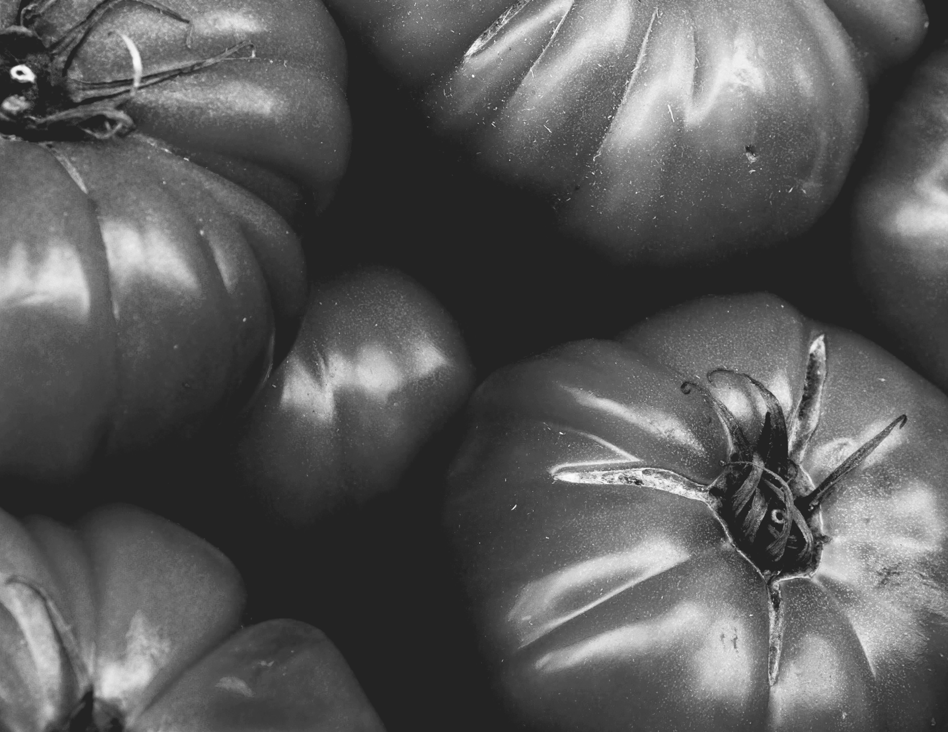 &iquest;Est&aacute;s listo para pedir?