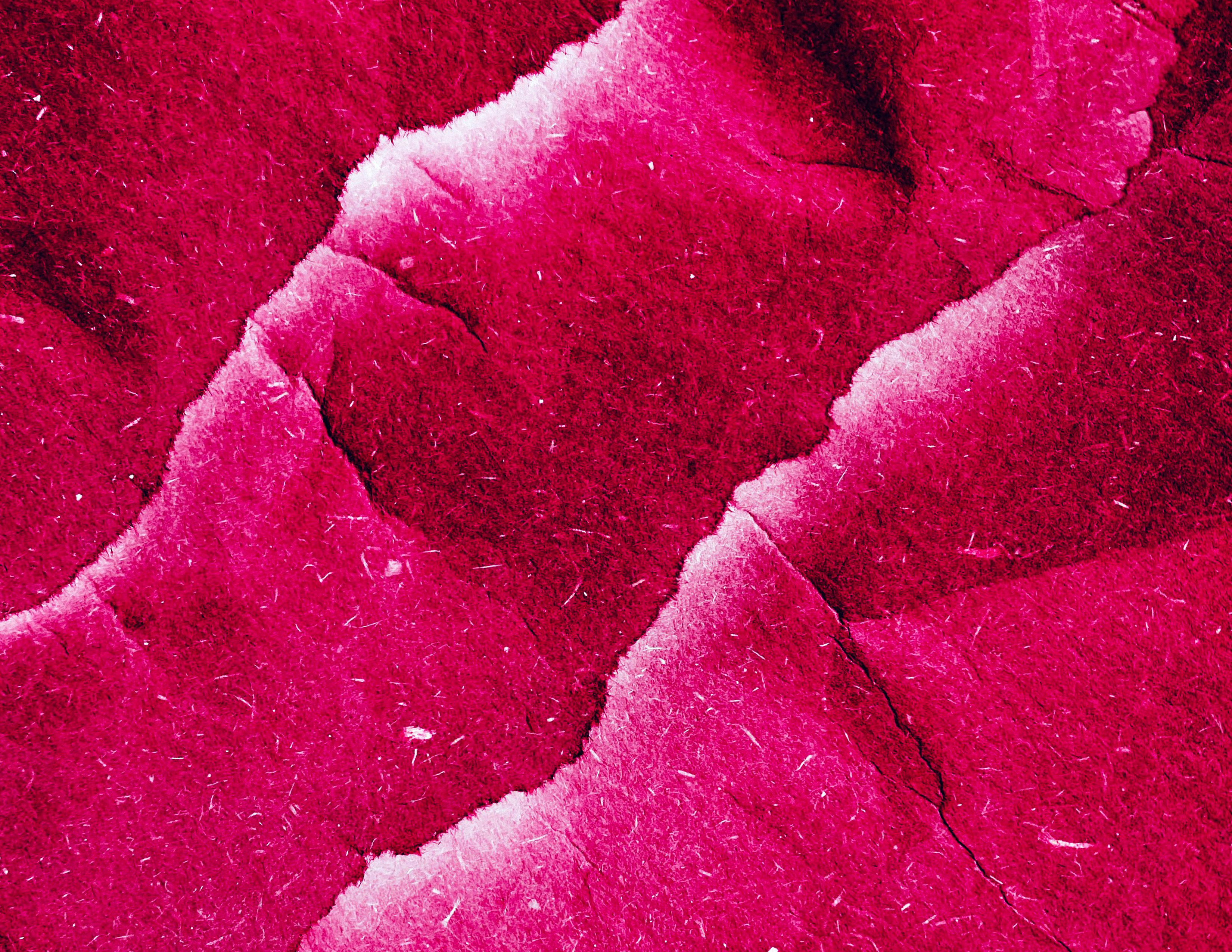 «MICROFESTIVAL FANZINES Y NEWSLETTERS»