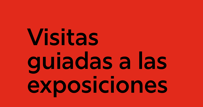 Visitas guiadas